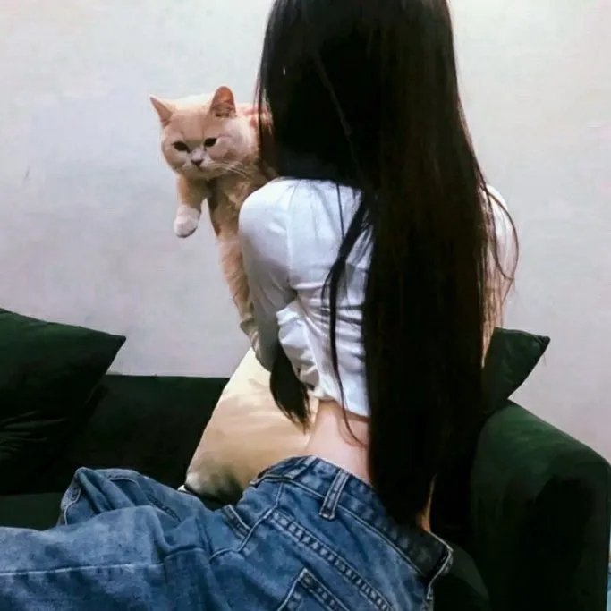 绝代商骄粤语