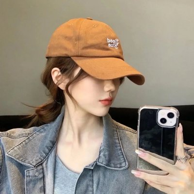 总统的危机